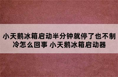 小天鹅冰箱启动半分钟就停了也不制冷怎么回事 小天鹅冰箱启动器